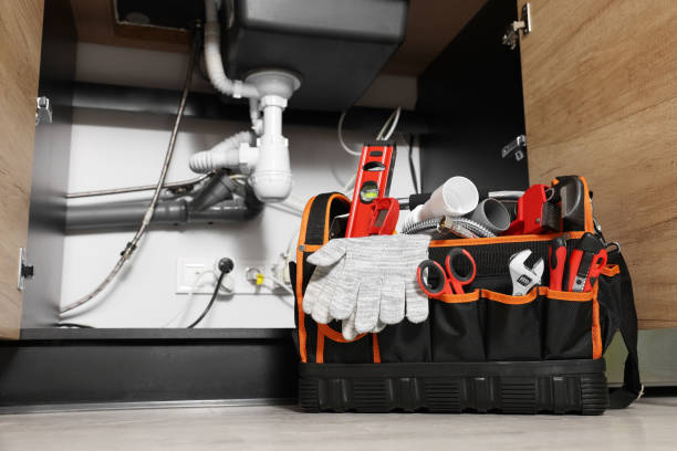 Best Local Plumber Services  in Bonduel, WI